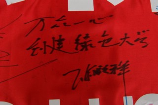 绿色行动